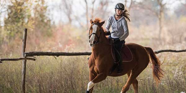 Horse Riding in Ahmedabad