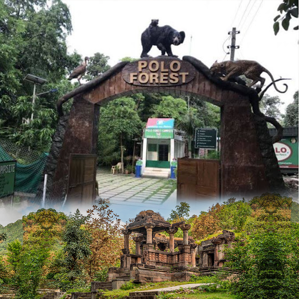 Polo Forest SABARKANTHA