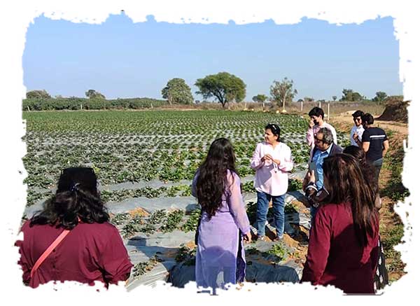 Farm Vist at Saachi Villagio Resort Near Ahmedabad