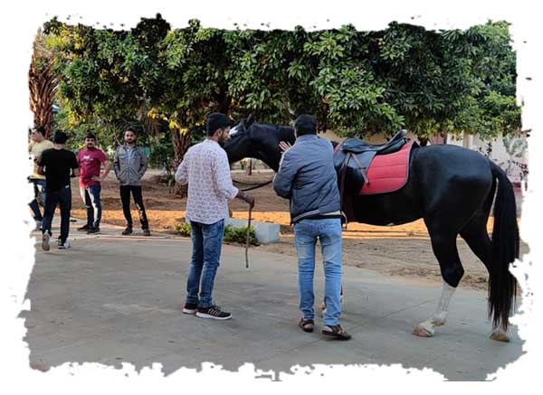 Horse Riding at Saachi Villagio Resort Near Ahmedabad